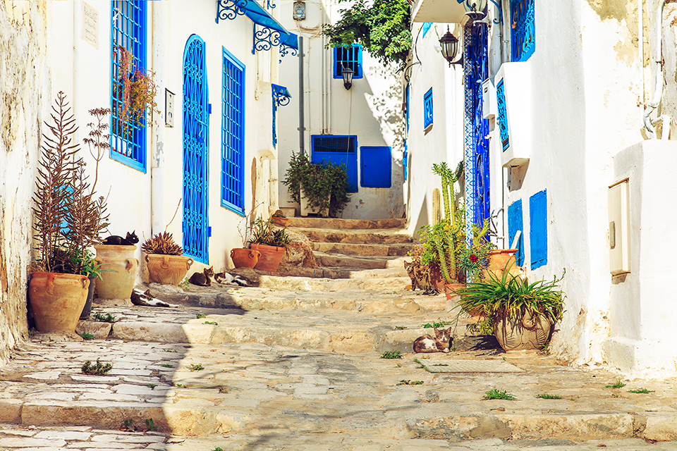 White-blue city of Sidi Bou Said, Tunisia. Eastern fairy tale with a French charm.