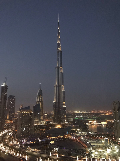 Dubai fin